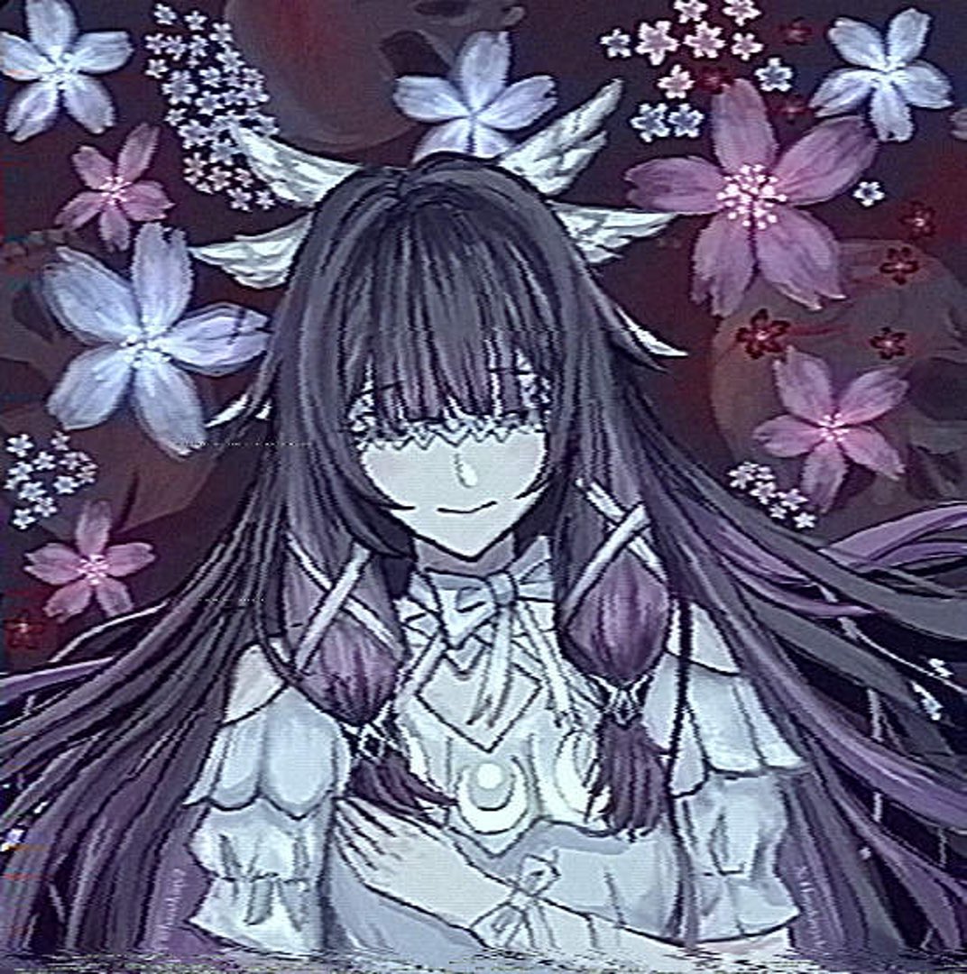 hana 花 ᥫ᭡ tweet media