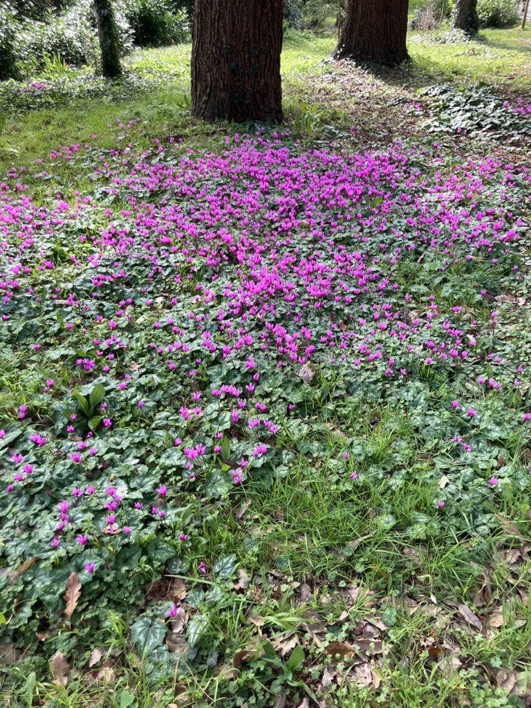 Beci Carver tweet media