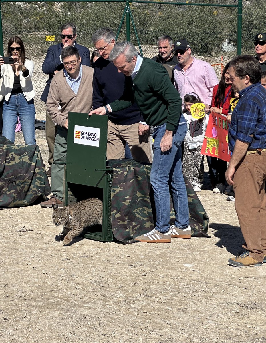 Fundación_Quebrantahuesos tweet media