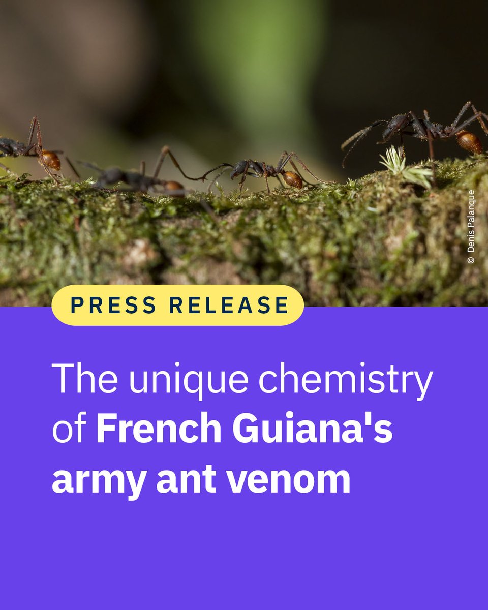 CNRS 🌍 tweet media