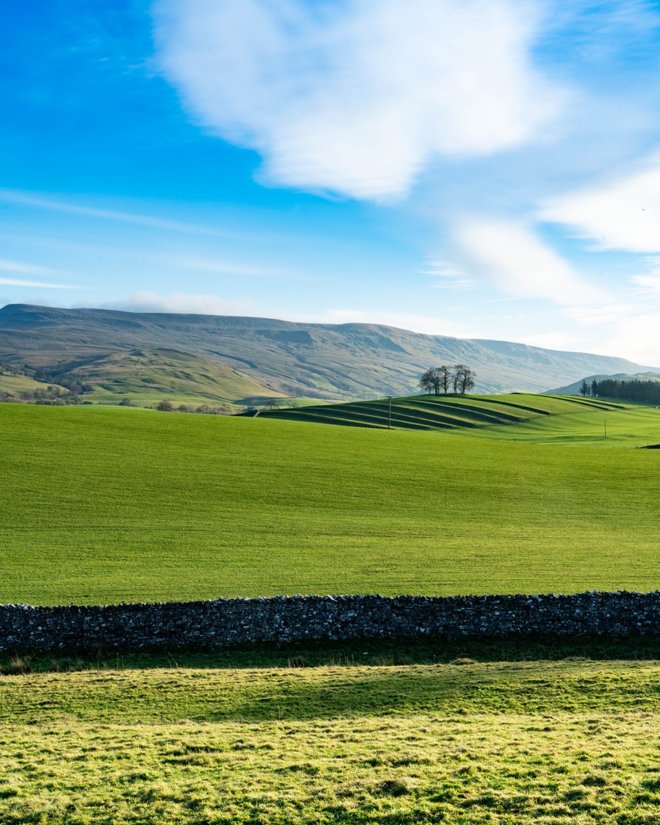 The steps in the landscape in the distance here are lynchets — terraces created by the gradual downslope movement of soil caused by ploughing over hundreds of years.

📸 Andy Kay | #YorkshireDales #Lynchets