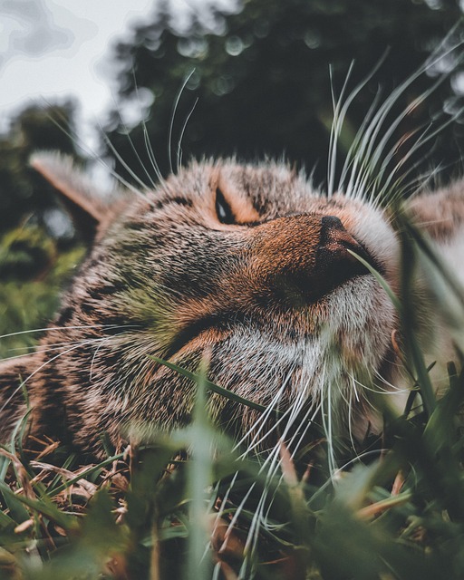 Anthony Beyer tweet media