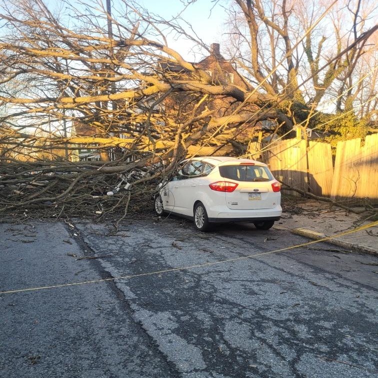 PPL Electric Utilities tweet media