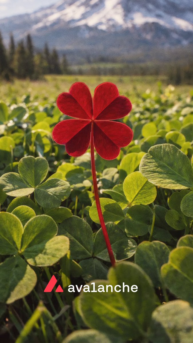 Ne les laisse pas te dire que c’était de la chance.

Joyeuse Saint-Patrick 🍀🔺