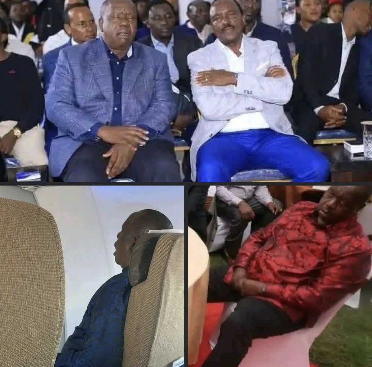 Princess P. tweet media