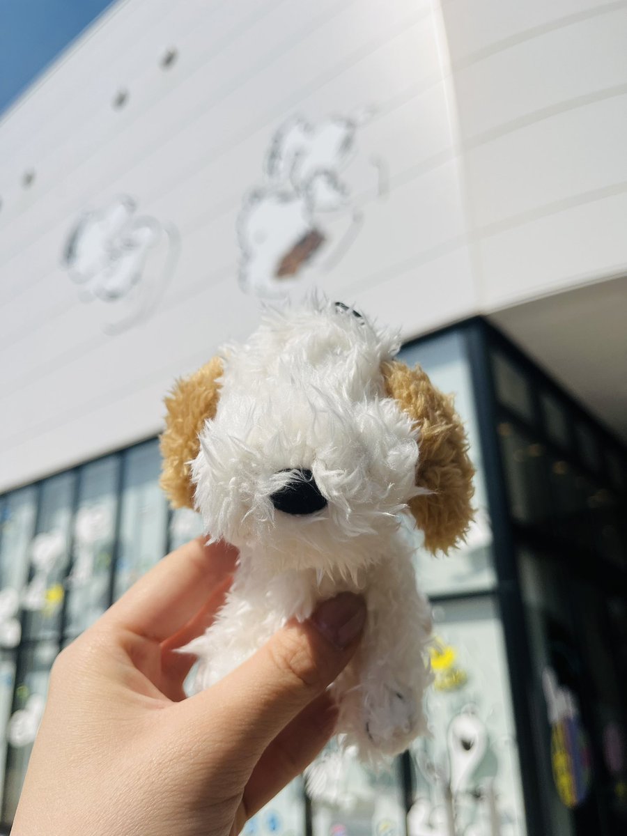 西出陽菜🥁-Hina Nishide-🪘 tweet media