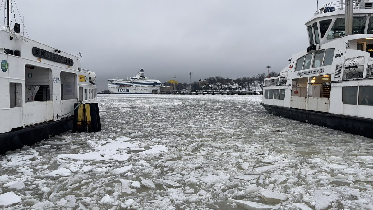 三船雅也 M a s a y a M i f u n e tweet media