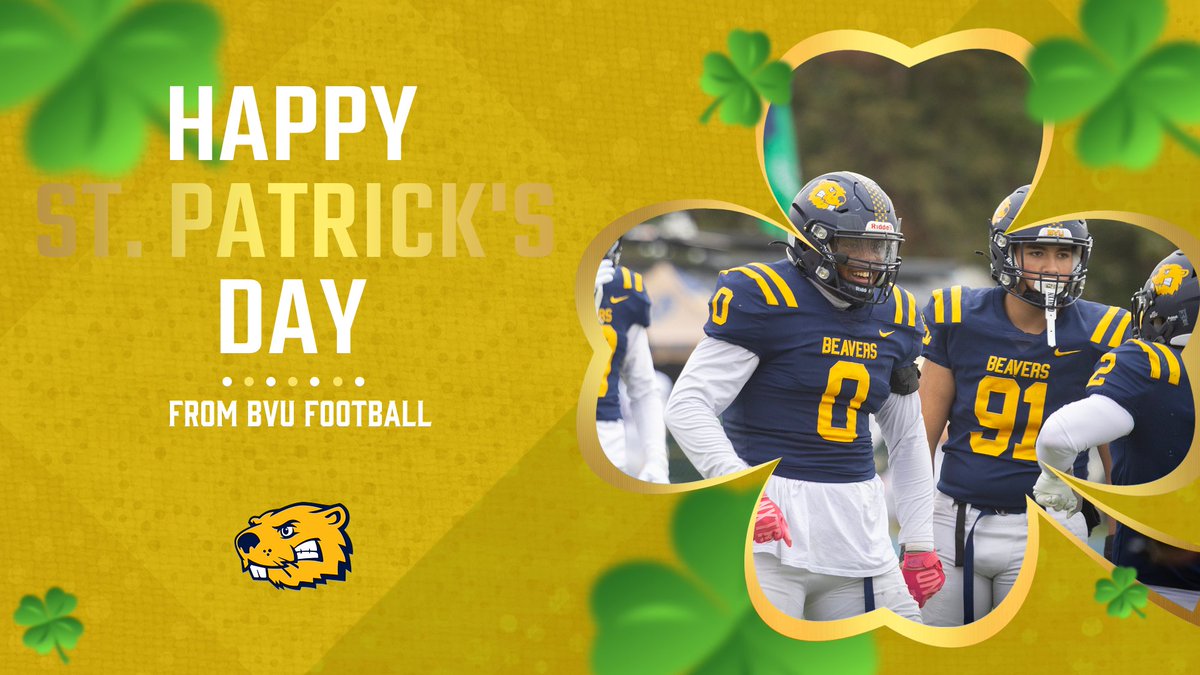 BVU Football tweet media