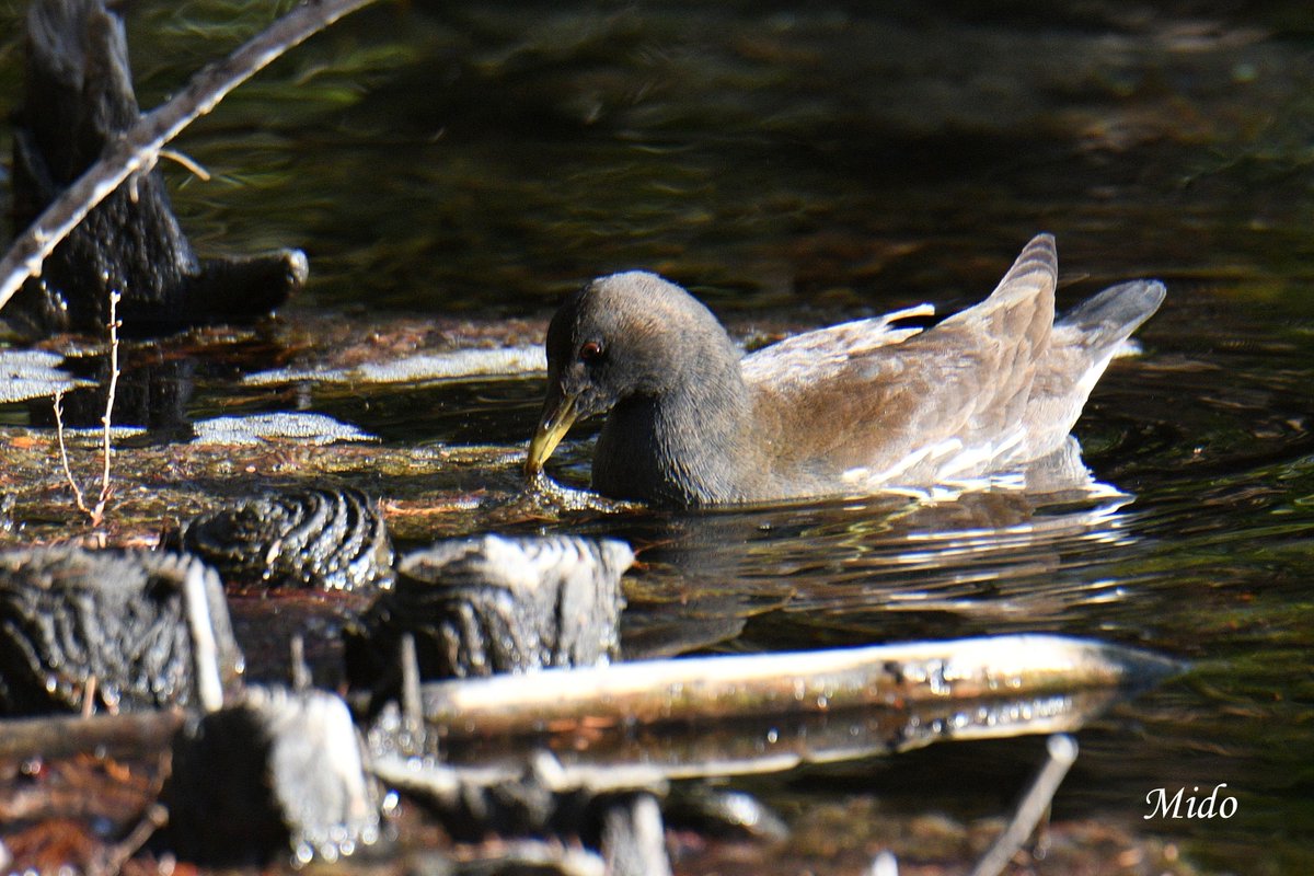 Mido 👩🏻 tweet media