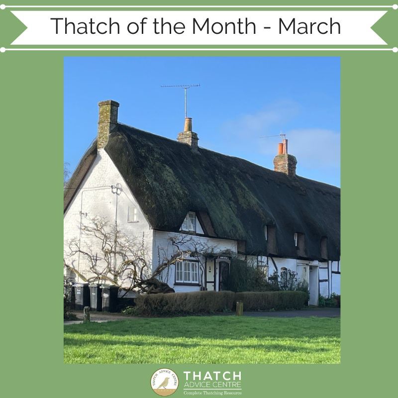 Thatch Advice Centre tweet media