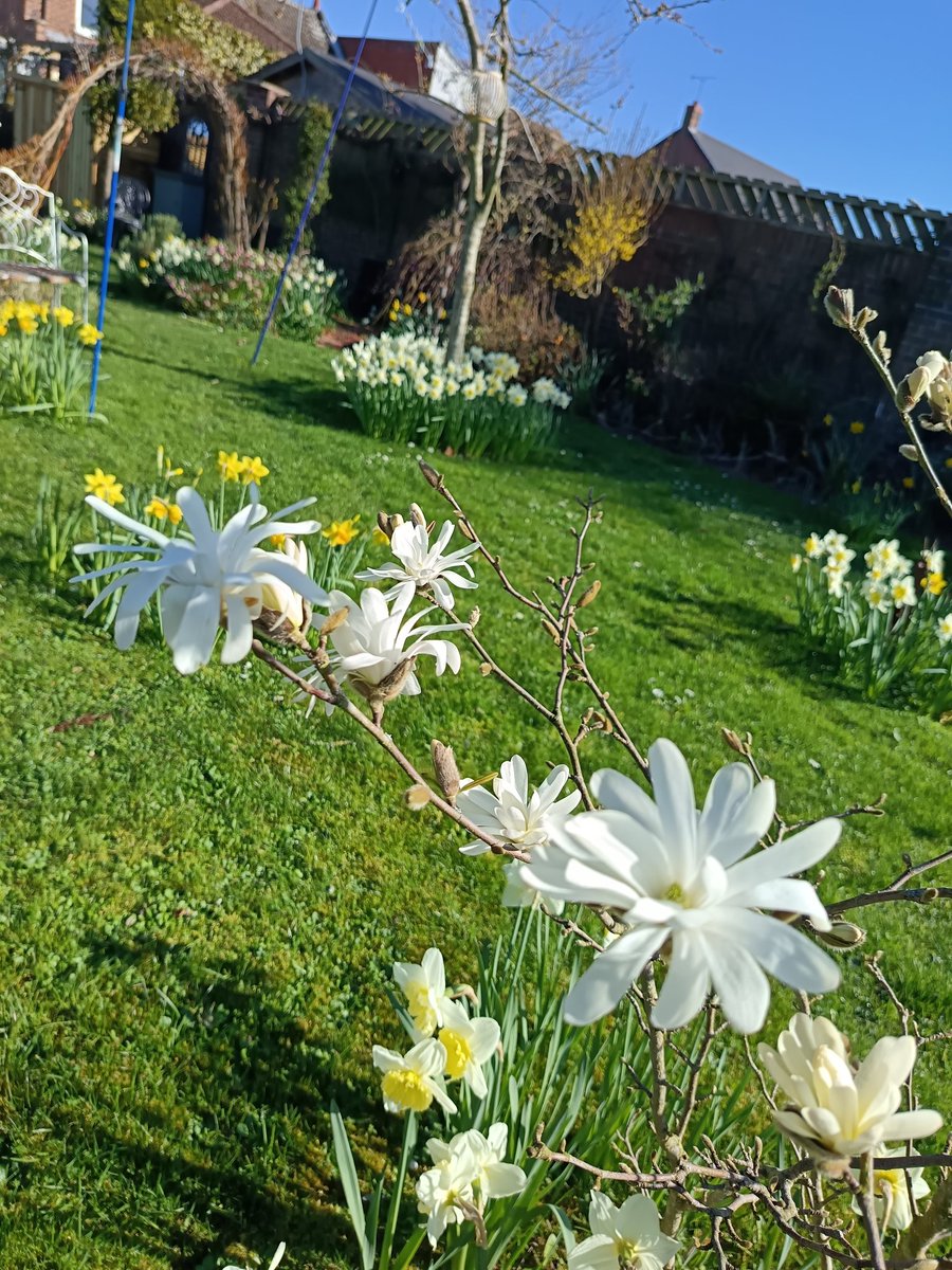 Rosemary Cottage Hook NGS tweet media