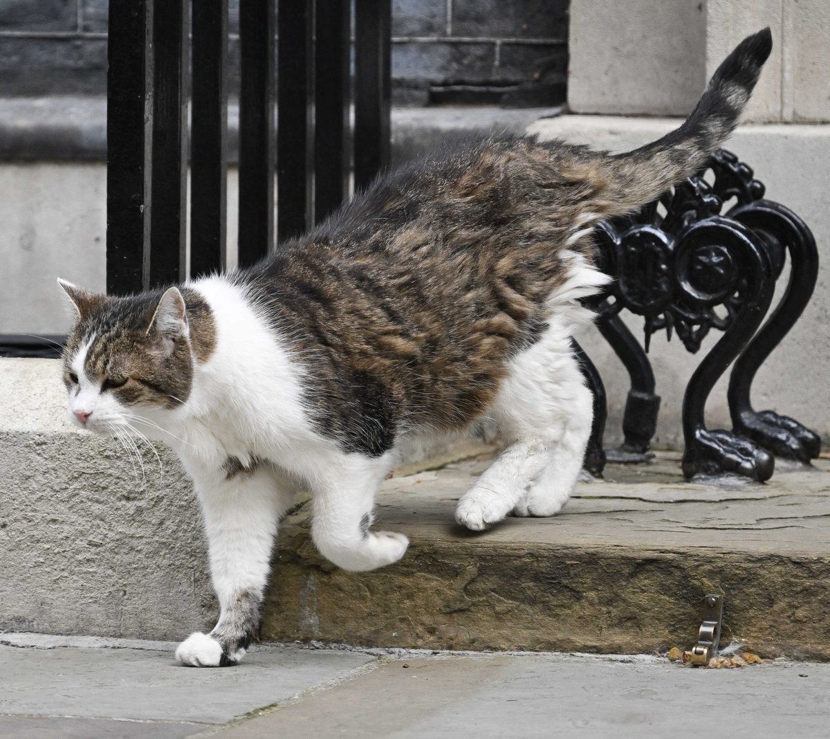 PoliticalPics tweet media