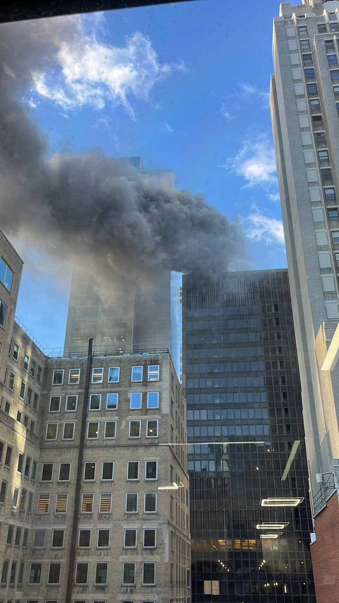 Martin Shkreli tweet media