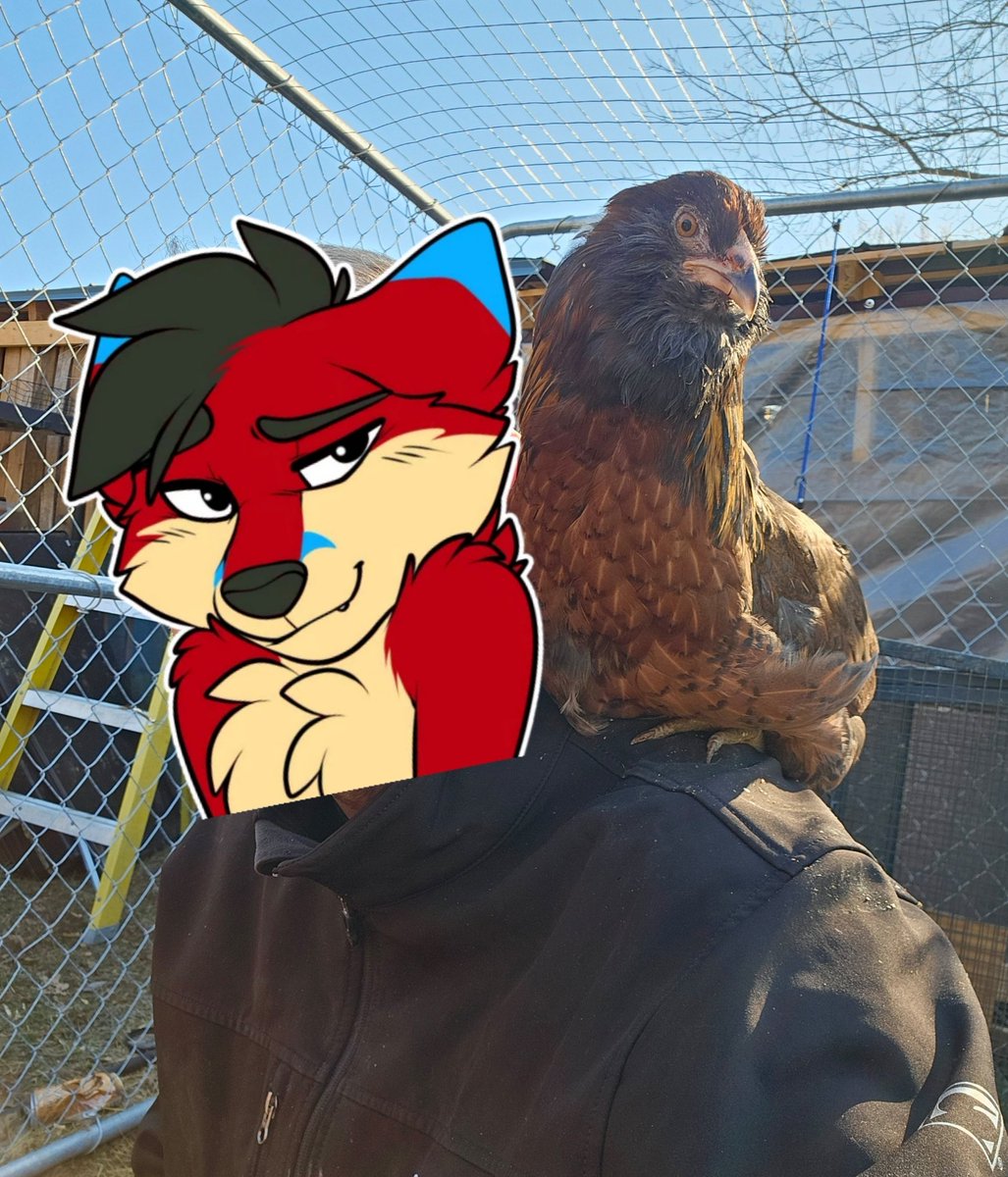 Jericho Fox 🦊 tweet media