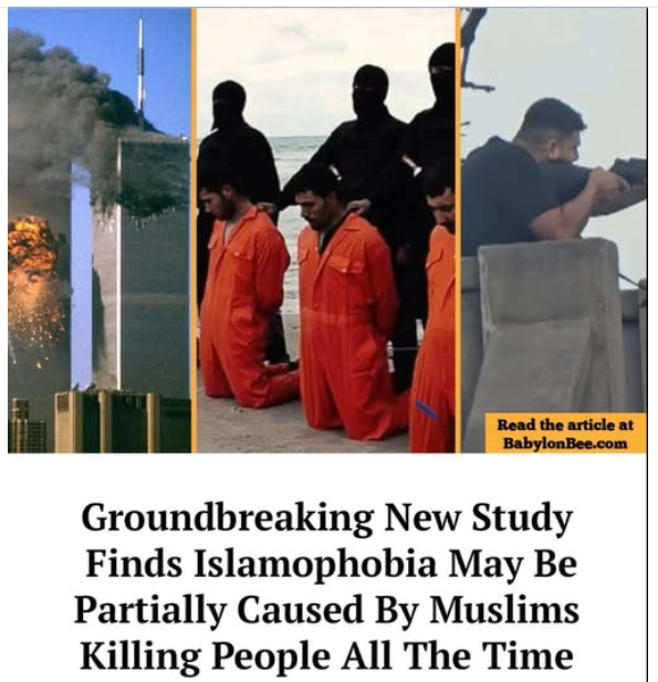 ⭐Tim Lockett ⭐𝕏 tweet media