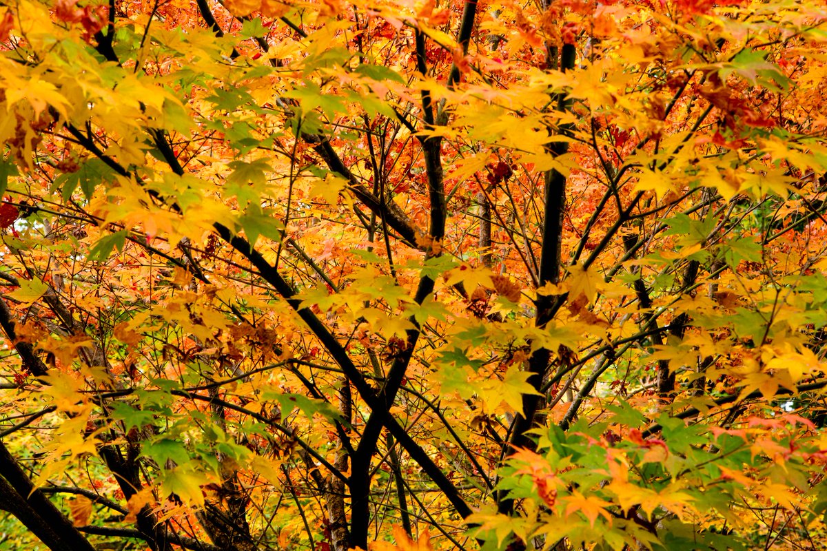 Photography Tricks and Tips tweet media