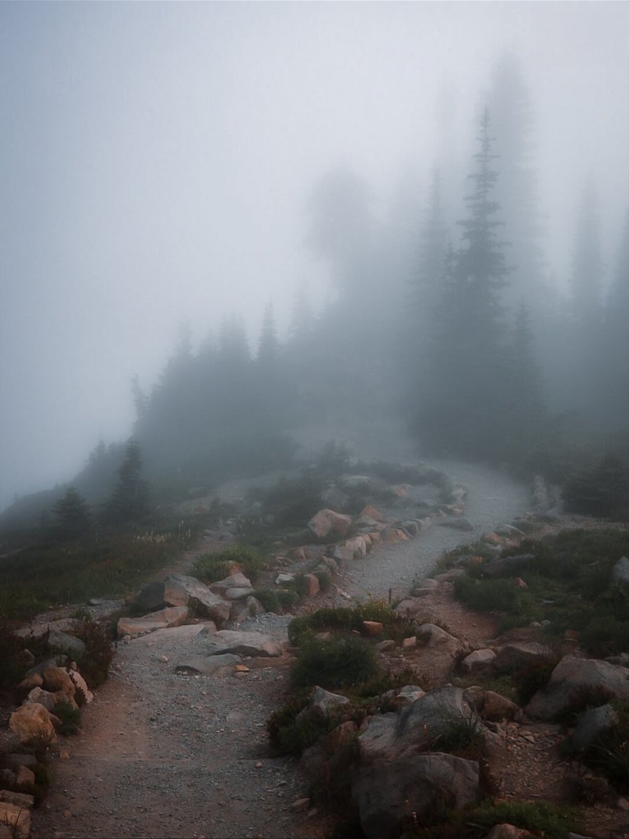 Purely Green tweet media