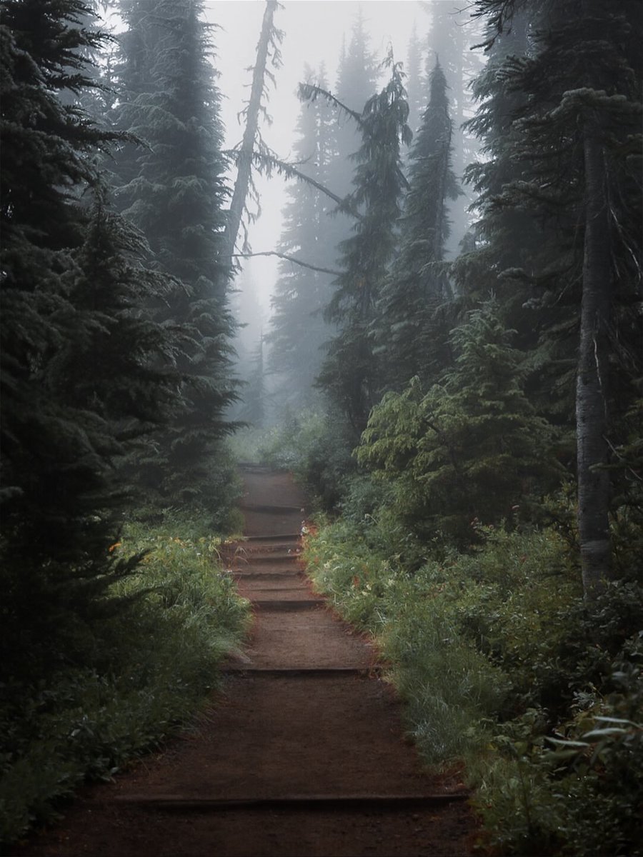 Purely Green tweet media