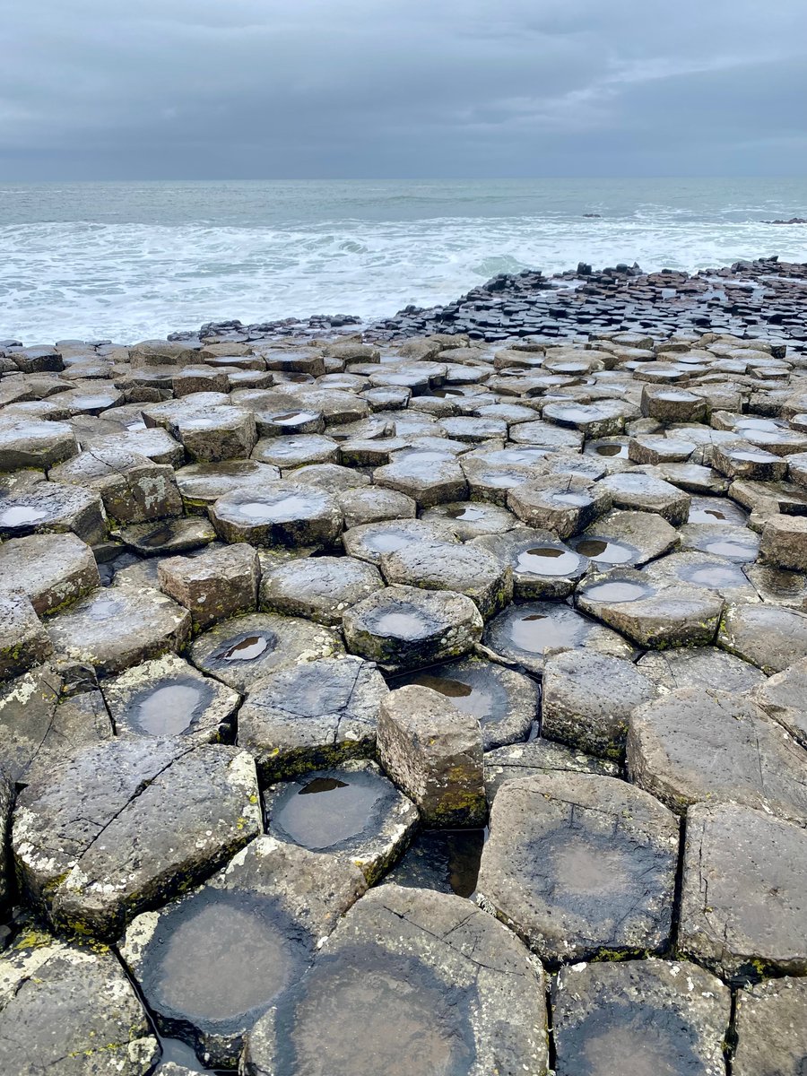 Bradt Guides tweet media