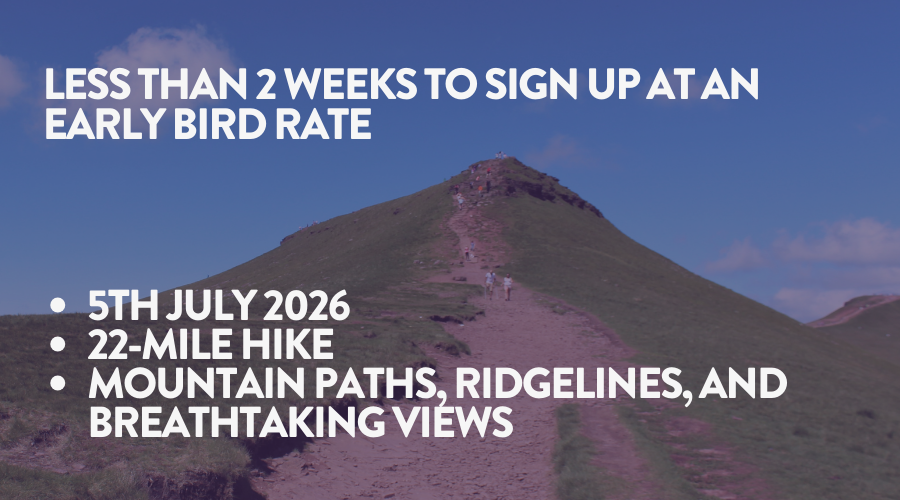 Racing Welfare tweet media