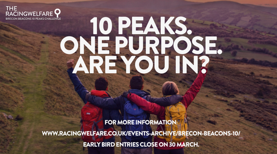 Racing Welfare tweet media