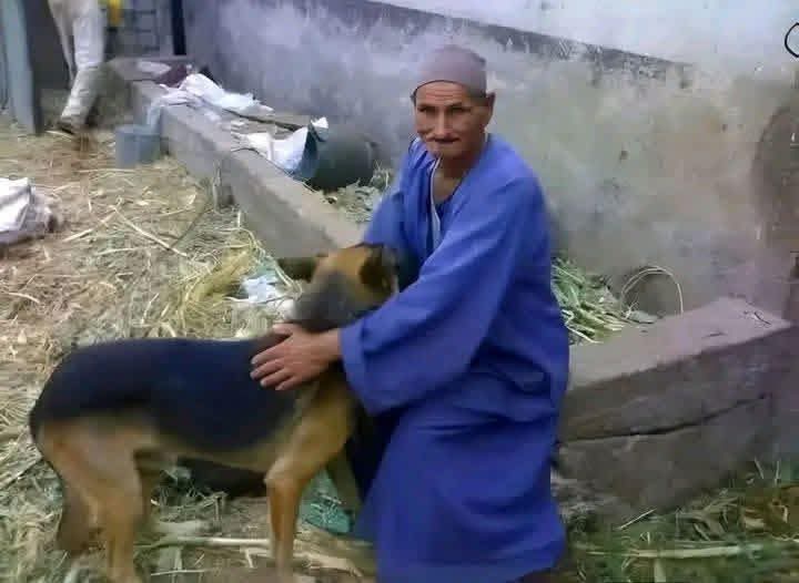 Sherine Mohamed tweet media