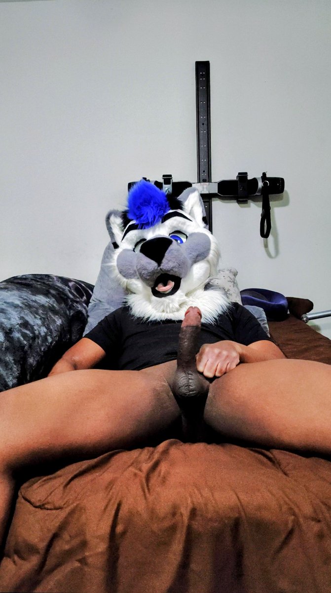 ColdK9AD tweet media