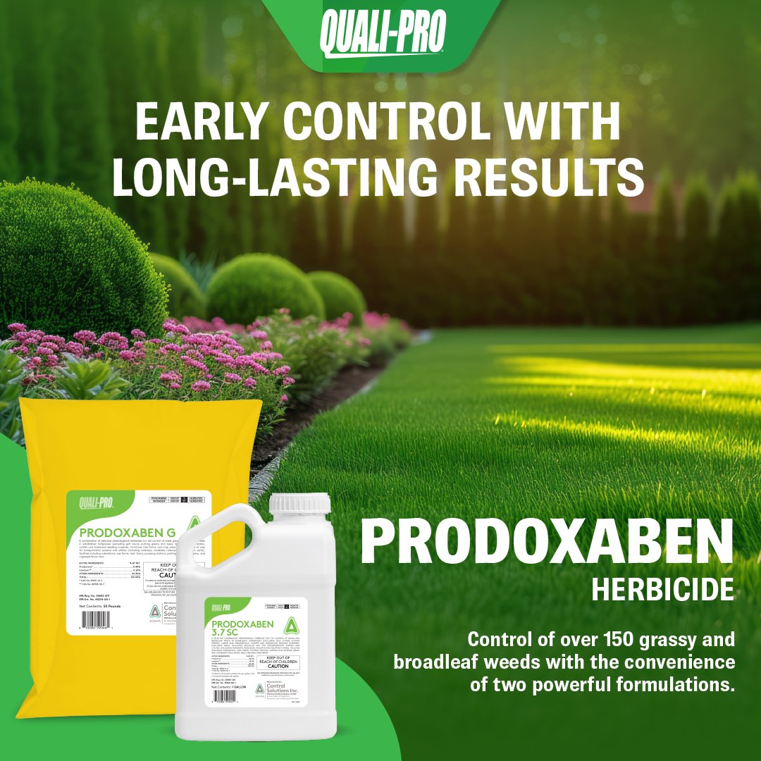 Quali-Pro tweet media