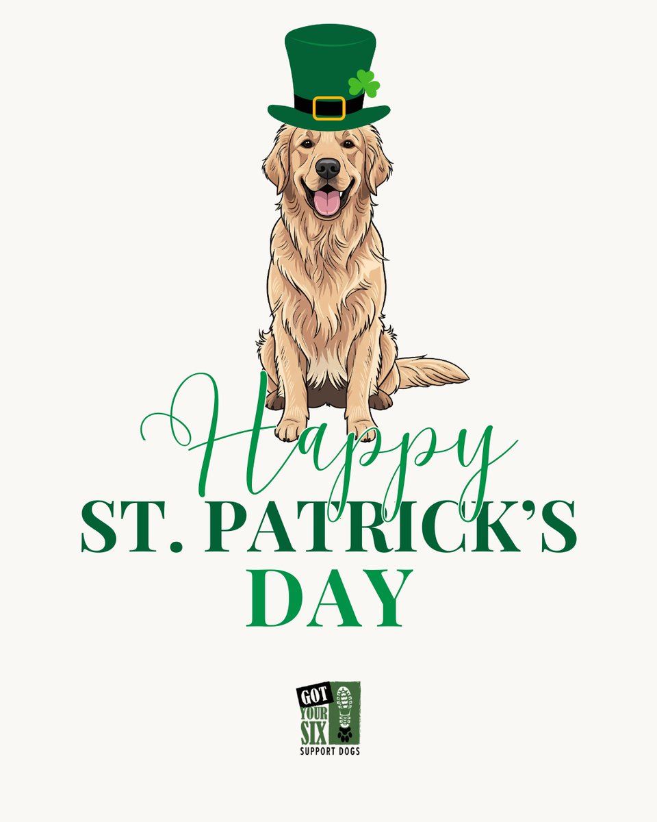 Got Your Six Dogs tweet media