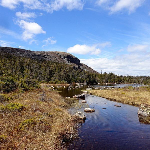 Craig Baird - Canadian History Ehx tweet media