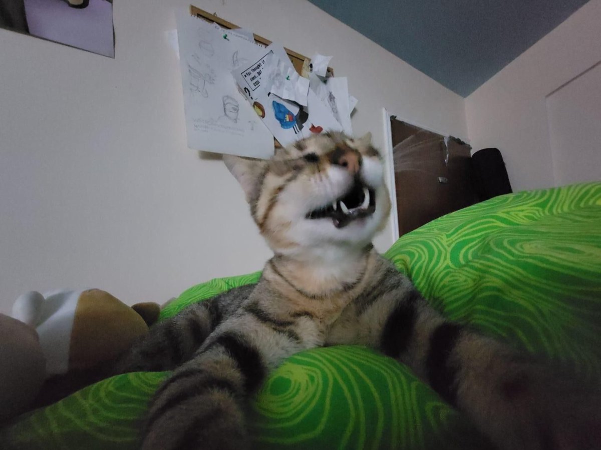 4HEADBOIII🔞 tweet media