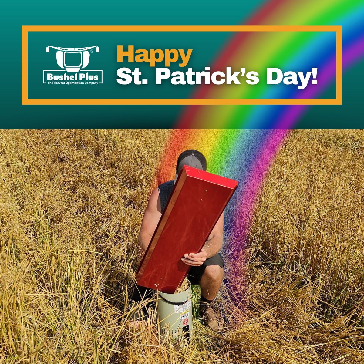 Bushel Plus 🌾 tweet media