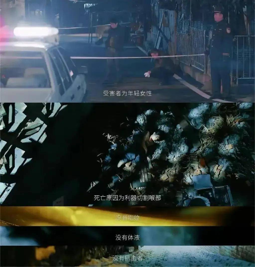 Ilua Vongarovsky tweet media