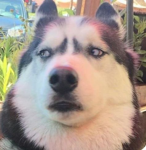 LingOrm_TagTrend 📈 tweet media