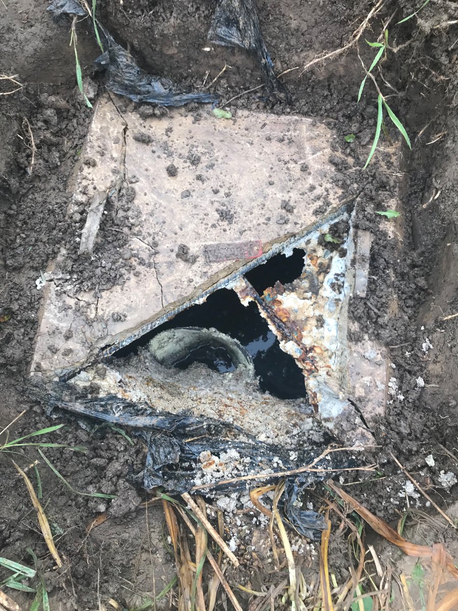Ontario Septic tweet media