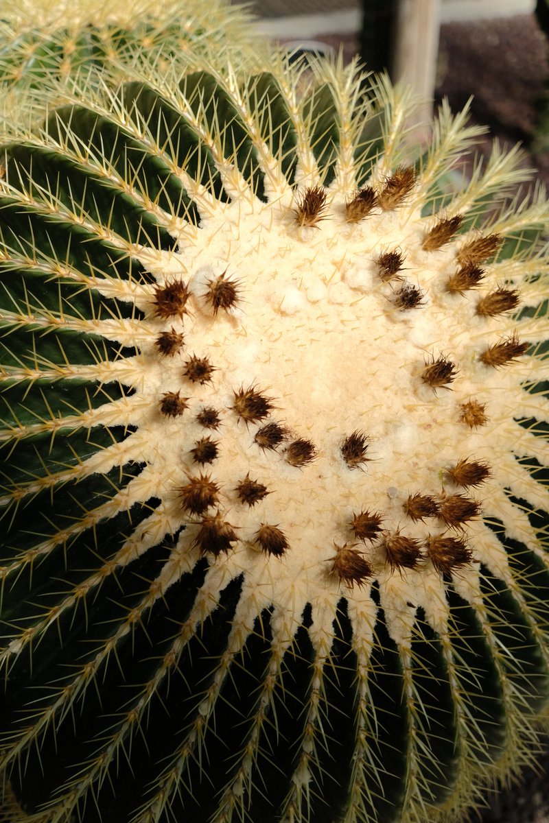 EB 🖍️ tweet media