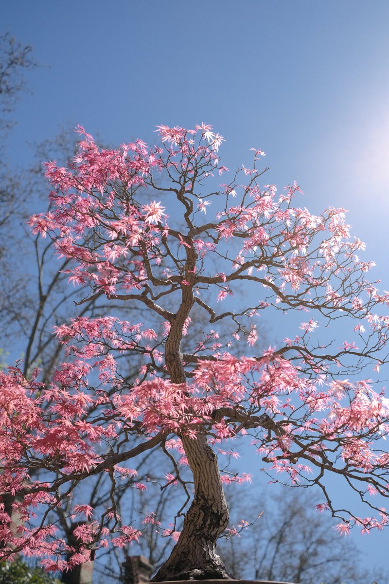 EB 🖍️ tweet media