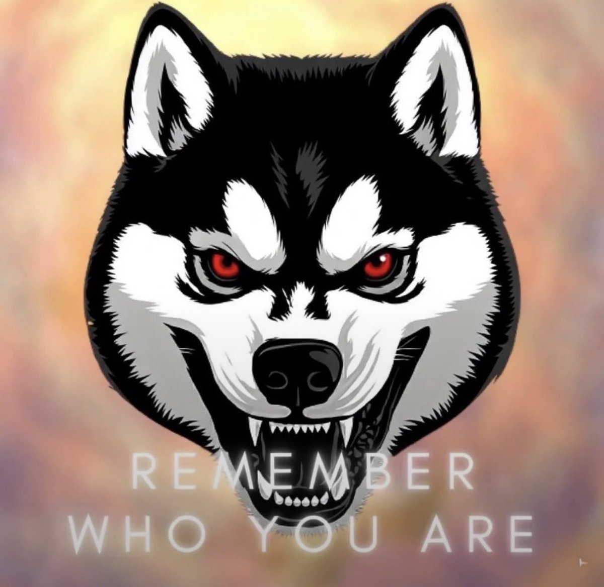 <a href="/nickisanders/">Nicki Sanders</a> Happy st Patrick’s day from the $Saiko crew!