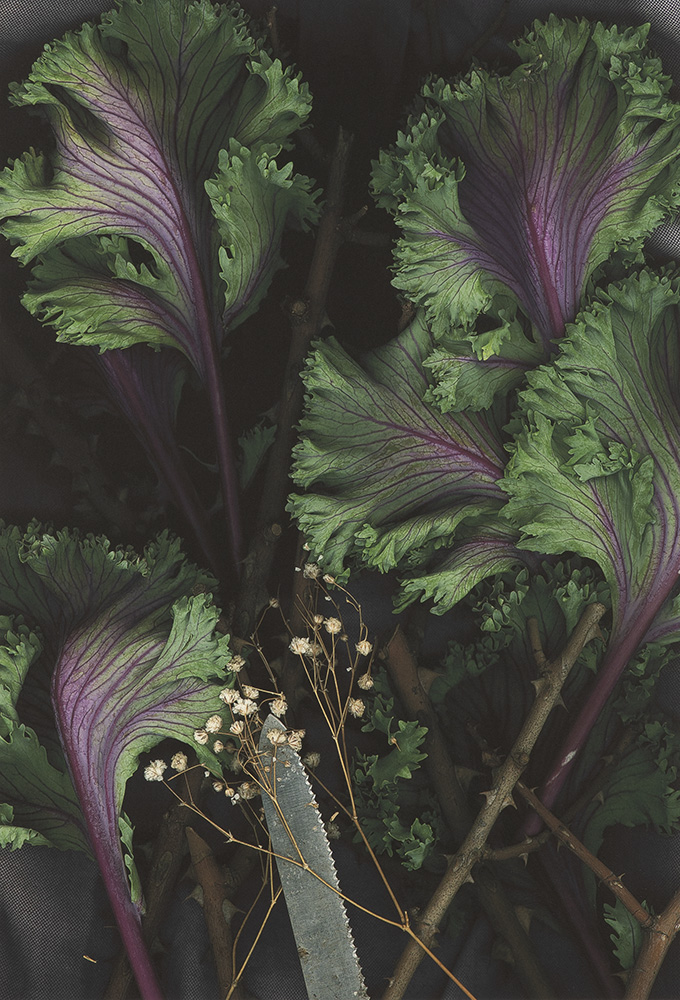 HarnMuseumofArt's tweet image. Happy #StPatricksDay! Is this on the menu this evening?

#CornedBeefandCabbage #HarnCollection

image: Darryl Curran, "Savoy Cabbage, Baby's Breath, Blade," 1995, Gift of the artist as part of The Museum Project