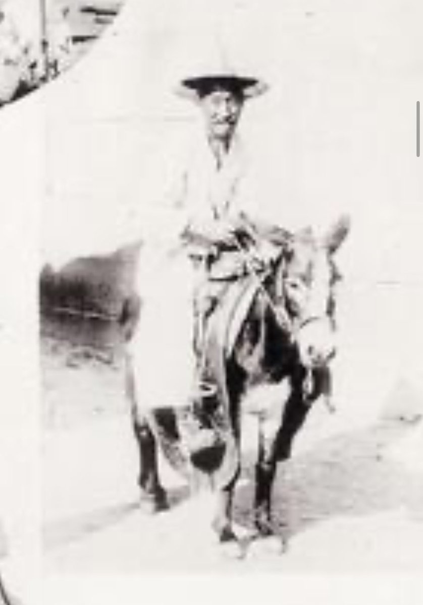 太郎丸 tweet media