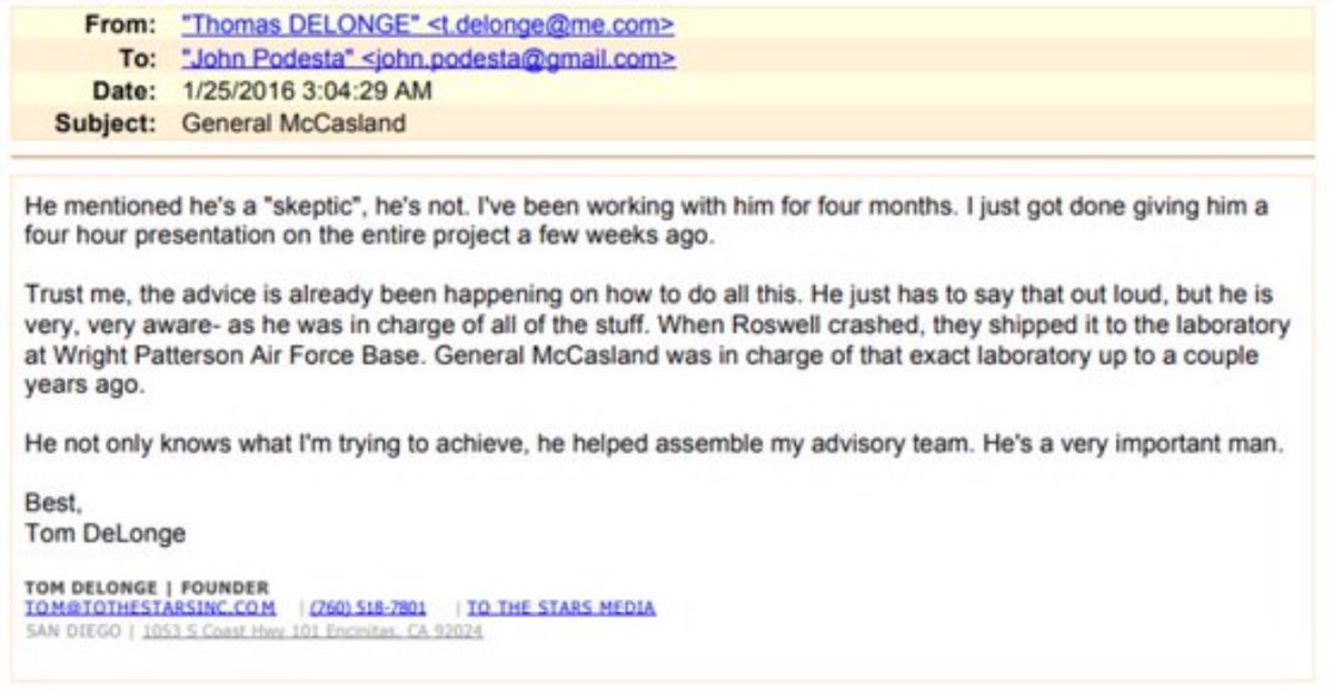 Red Panda Koala tweet media