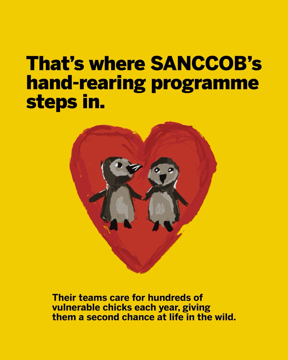 Africa Travel Week tweet media