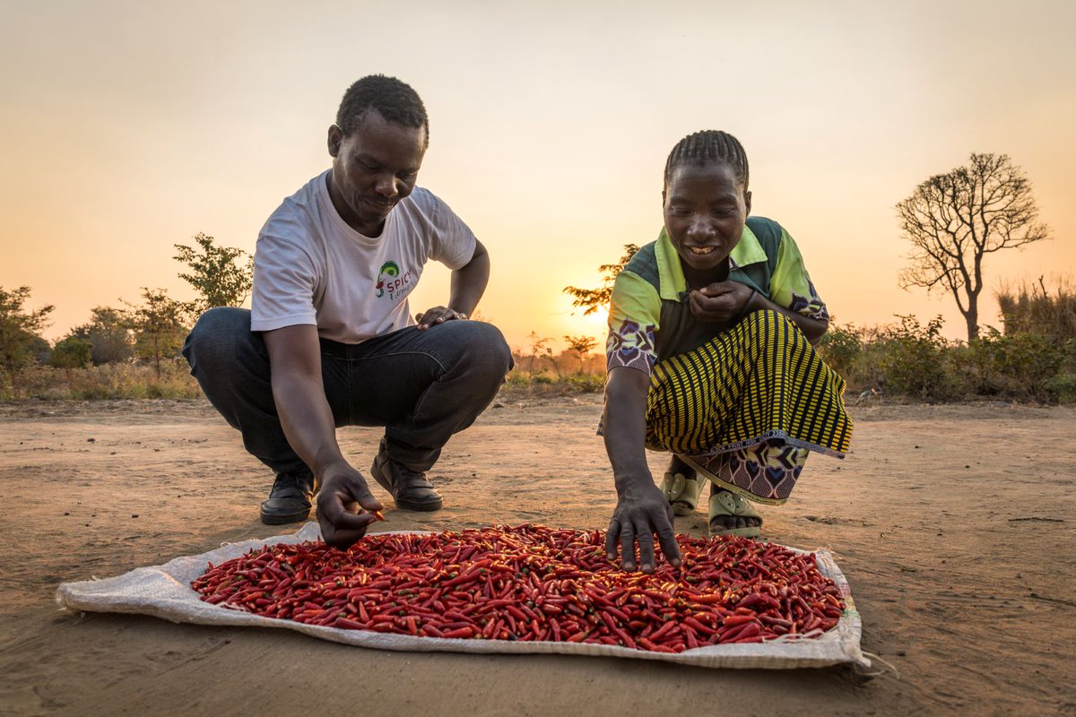 African Parks tweet media