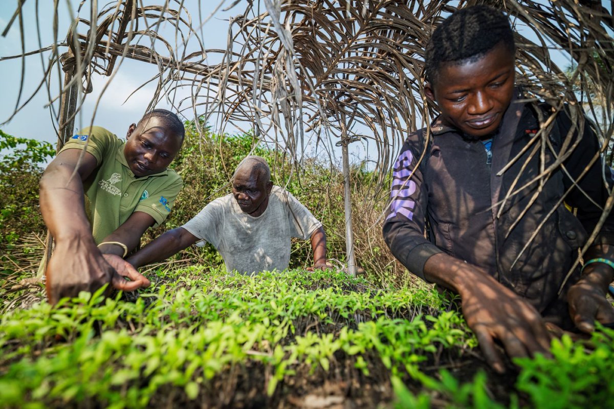 African Parks tweet media