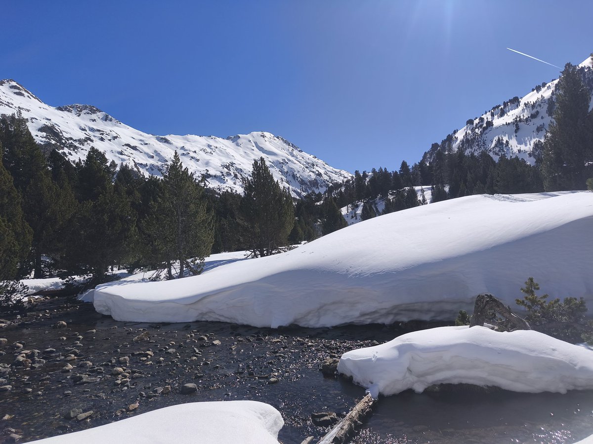 José Villalba tweet media