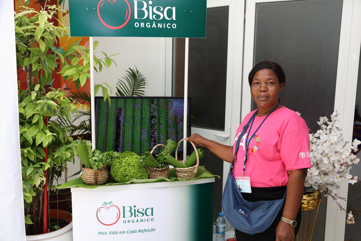 FAO Angola tweet media