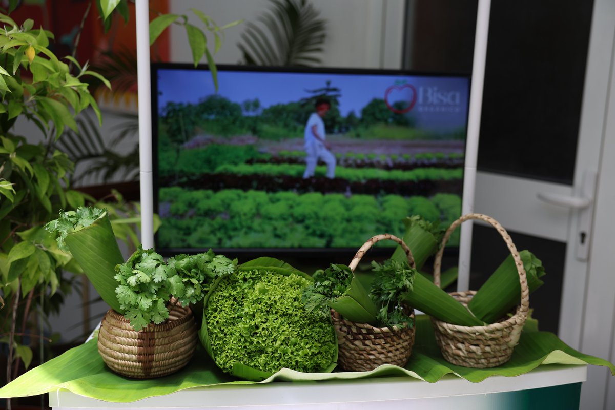 FAO Angola tweet media