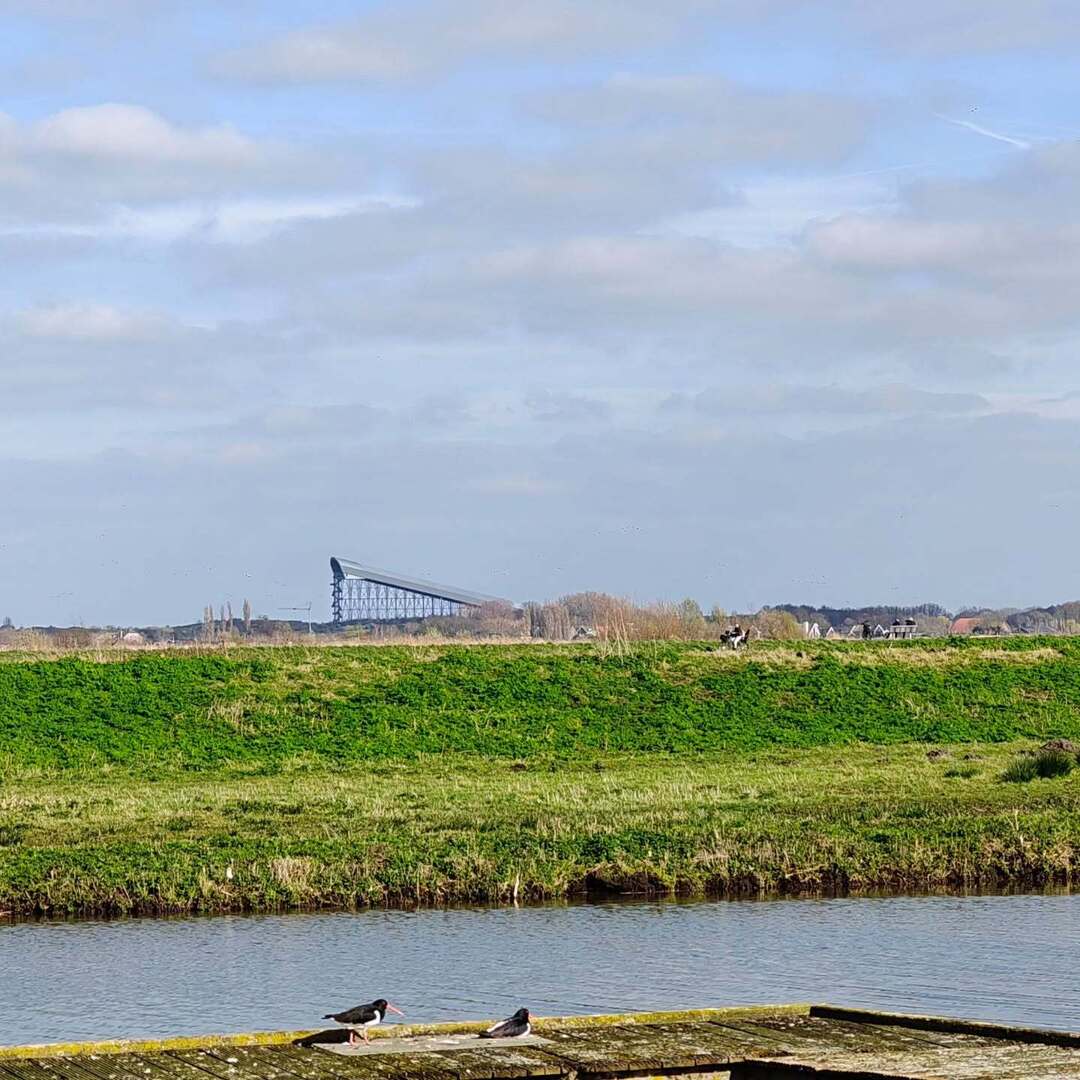 Mike Schenk tweet media