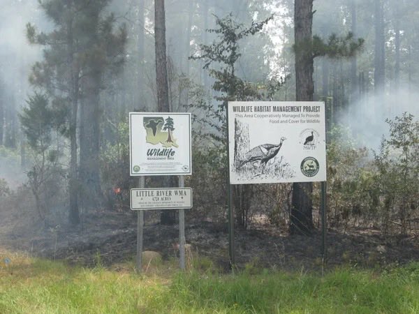 LaWildlife&Fisheries tweet media