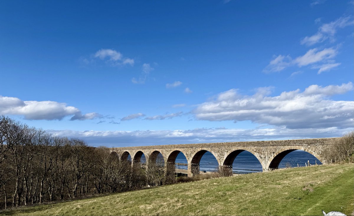 Debby Thorne tweet media